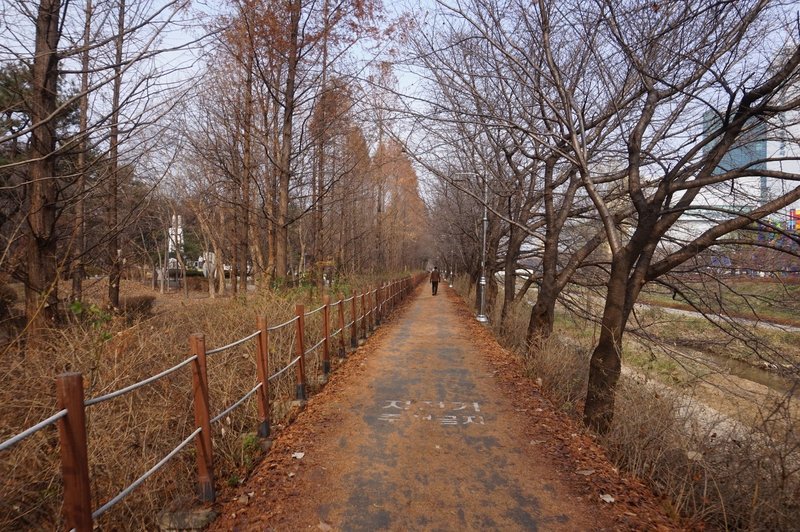 Seoul Trail at Yangjae Citizen's Forest
