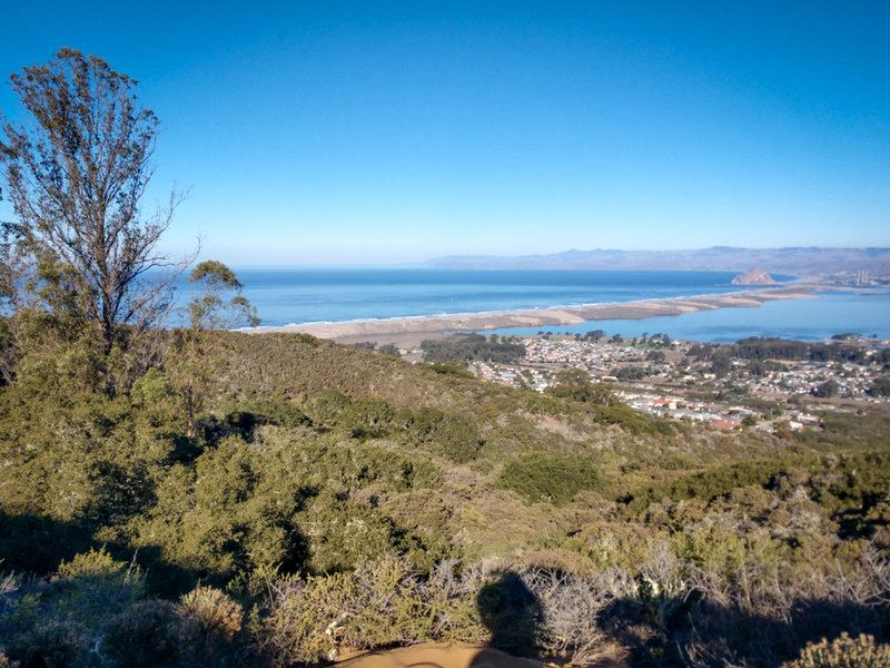 Awesome view of the sand spit all the way to Morro Rock.