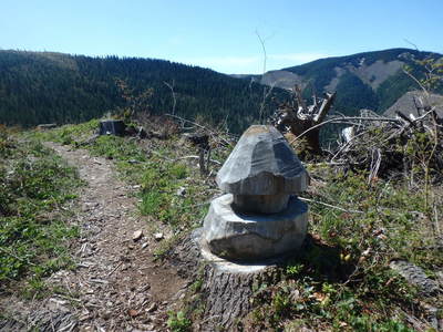 Near highest point on Tarbell Trail