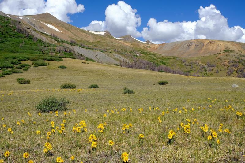 Saddle of San Luis pass