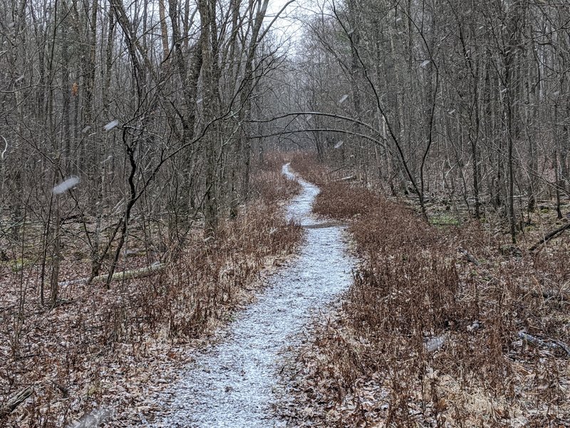 The trail open up as snow starts to fall.