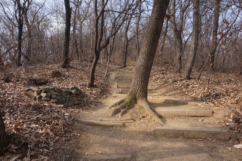 Seoul Trail section 4 in Umyeonsan Park, taken 7th Dec 2020