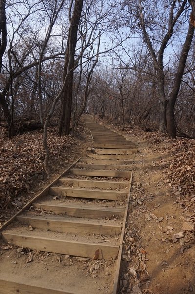 Seoul Trail section 4 in Umyeonsan Park, taken 7th Dec 2020