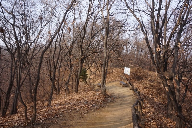 Seoul Trail section 4 in Umyeonsan Park, taken 7th Dec 2020