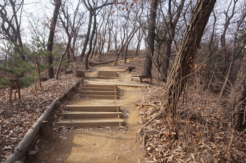 Seoul Trail section 4 in Umyeonsan Park, taken 7th Dec 2020