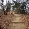 Seoul Trail section 4 in Umyeonsan Park, taken 7th Dec 2020