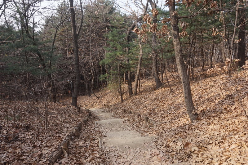 Seoul Trail section 4 in Umyeonsan Park, taken 7th Dec 2020