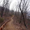 Seoul Trail section 4 in Umyeonsan Park, taken 7th Dec 2020