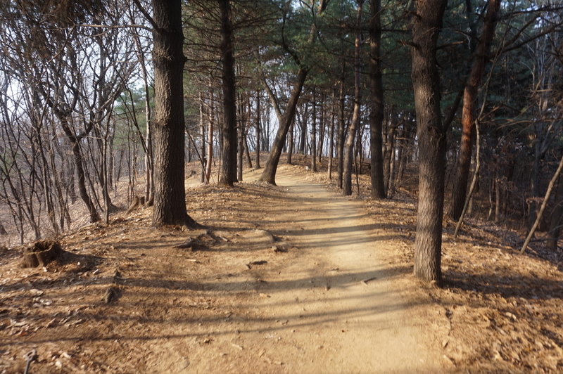 Seoul Trail section 4 towards Sadang, taken 7th Dec 2020
