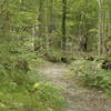 Lakeshore Trail peninsula singletrack is a peaceful hike and run.