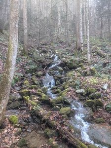 After rains the brook fords are a bit more challenging. They are also very pretty.