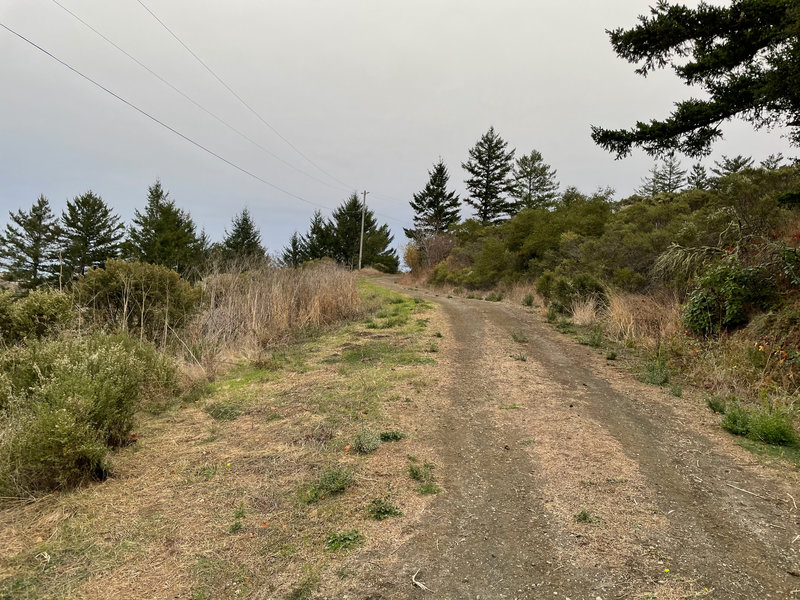 The trail follows an old farm road that mother nature is slowly reclaiming.  You may be walking on dirt, grass, gravel, or cement at various moments in the hike.