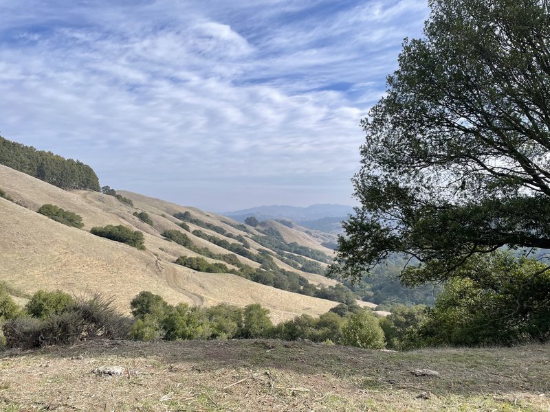 View back towards Orinda.