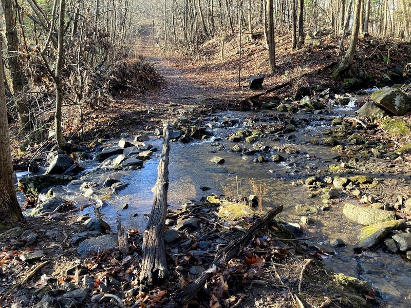 Crossing Roaring Brook