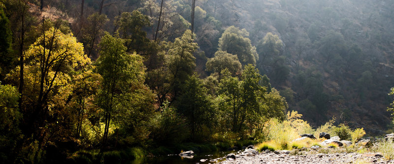 South Fork of the Merced River along the Hite's Cove Trail.