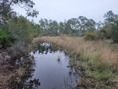 Flooded trail