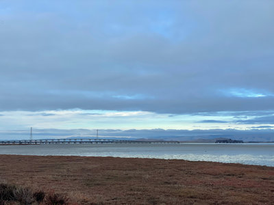 View of the Dumbarton Bridge from the South Observation Platform in Ravenswood Open Space Preserve.
