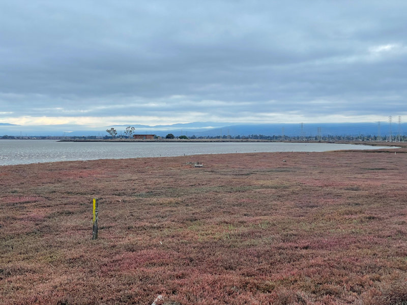 View across the marsh from the North Observation Platform toward the Cooley Landing Education Center.