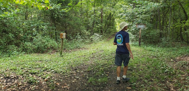 Hiking on the railroad bed.