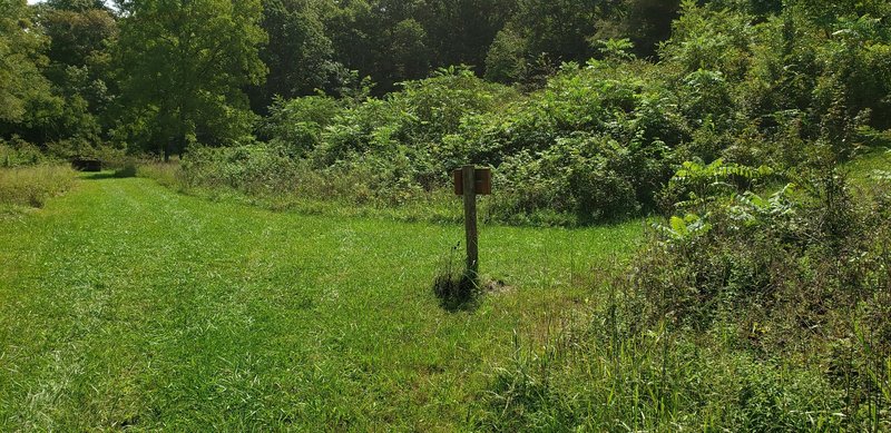 Trail sign.