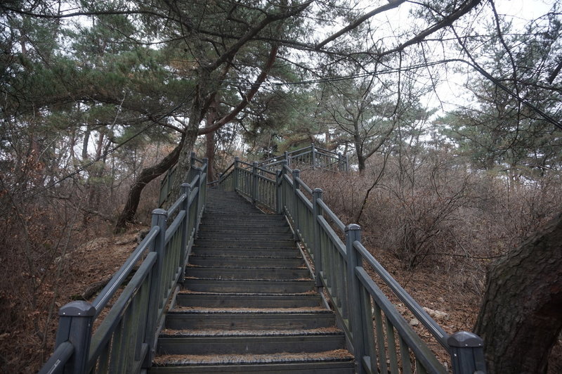 Section 8 of the Seoul Trail at Jangmi Park, taken on 10th of December 2020