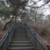 Section 8 of the Seoul Trail at Jangmi Park, taken on 10th of December 2020