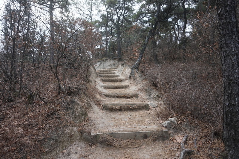 Section 8 of the Seoul Trail at Jangmi Park, taken on 10th of December 2020