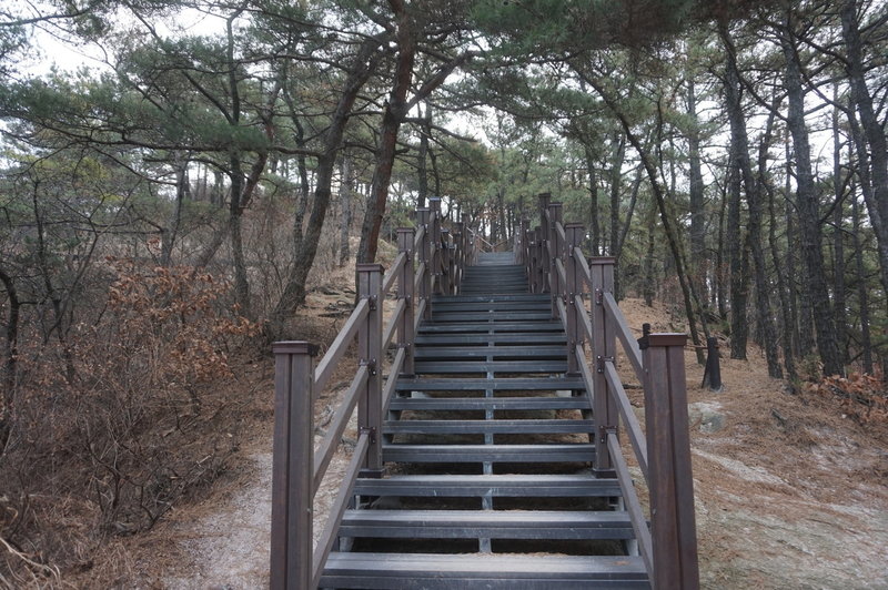 Section 8 of the Seoul Trail at Jangmi Park, taken on 10th of December 2020