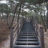 Section 8 of the Seoul Trail at Jangmi Park, taken on 10th of December 2020