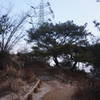 Section 8 of the Seoul Trail at Jangmi Park, taken on 10th of December 2020