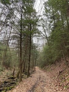 Beauty and solitude of the watershed