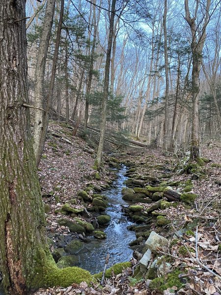 Running along Painter Run.