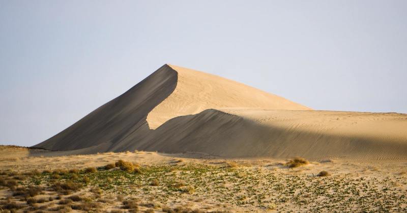 Evening light on the dunes in Hanford Reach.
