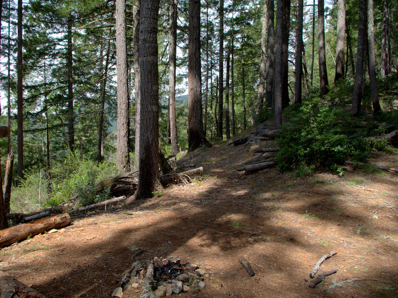 The junction of the Pine Flat and Illinois River Trails.