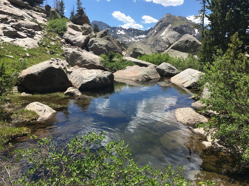 Great hike up to jack ass pass.