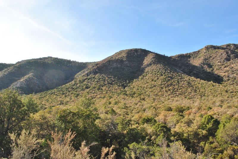 Looking west towards beginning of trail.