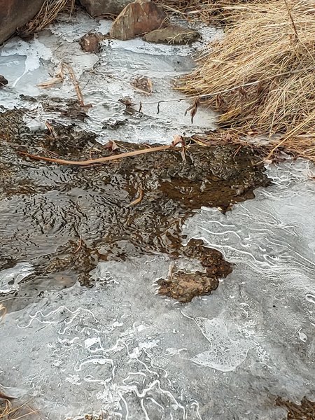 Stream running on back side of lake.