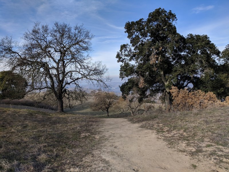 Top of the trail