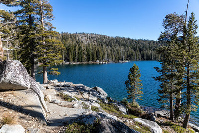 Northern shore of Lake of the Woods