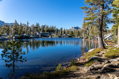 Calm reflections in Lake of the Woods