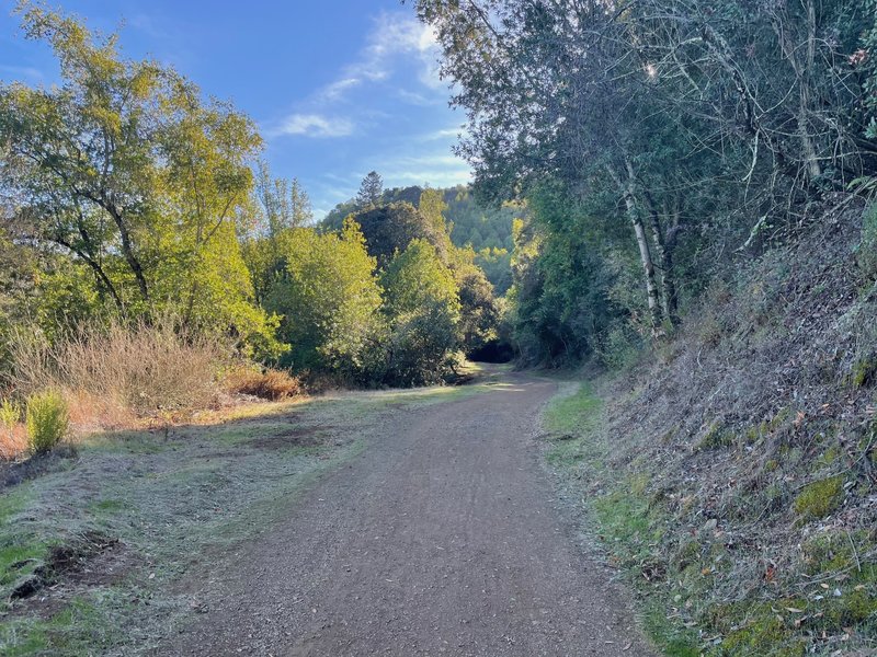 The trail as it minds its way up through El Sereno Open Space Preserve.