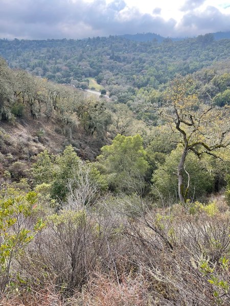 View of the Santa Cruz mountains from the sunny part of the trail.