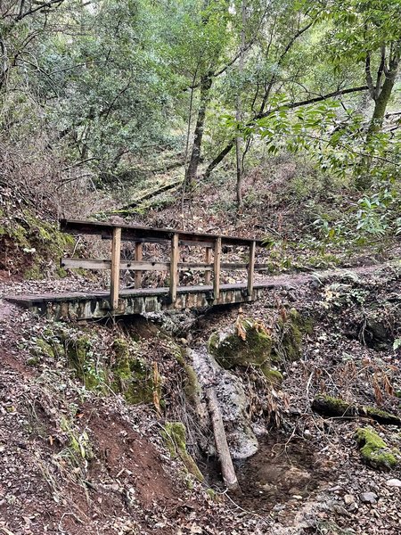 One of 20 wooden bridges the trail crosses.