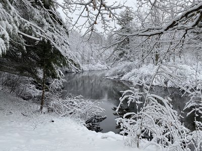 Betsie River Winter 2020.