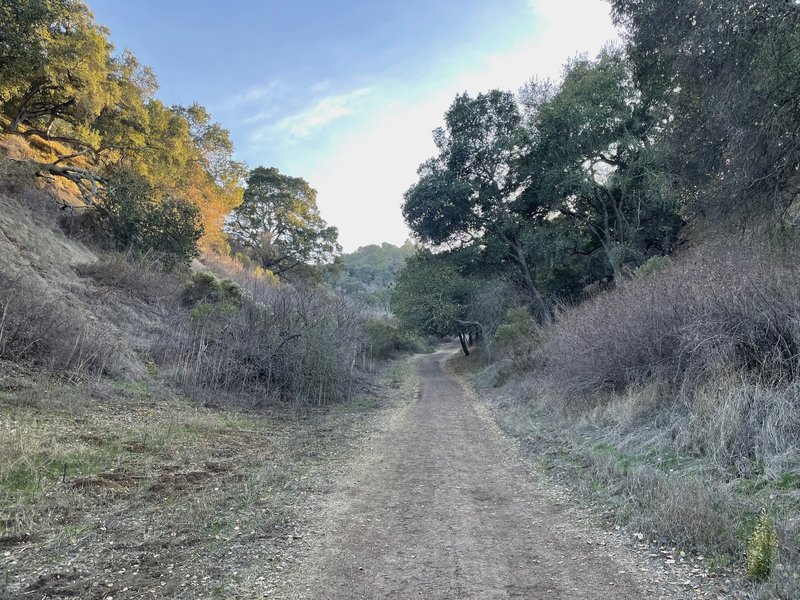 The trail climbs from the entrance up the hill through a little valley between two hills.