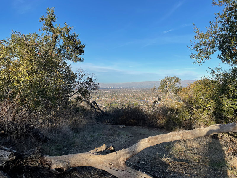 One of the views from the summit where the Vista Trail ends. You can see San Jose off in the distance, and Los Gatos below you.