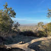 One of the views from the summit where the Vista Trail ends. You can see San Jose off in the distance, and Los Gatos below you.