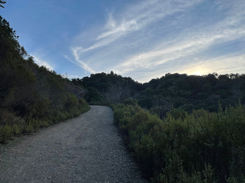 The gravel trail works its way up the hillside in the early evening.