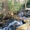 Small stream next to Furnace Creek Trail.