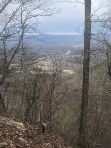 View west towards Cowpasture River.